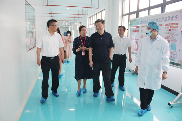 合肥市新站高新区党工委书记、管委会主任路军一行莅临乐天堂fun88集团调研