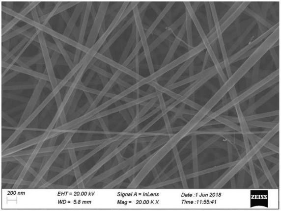 乐天堂fun88集团