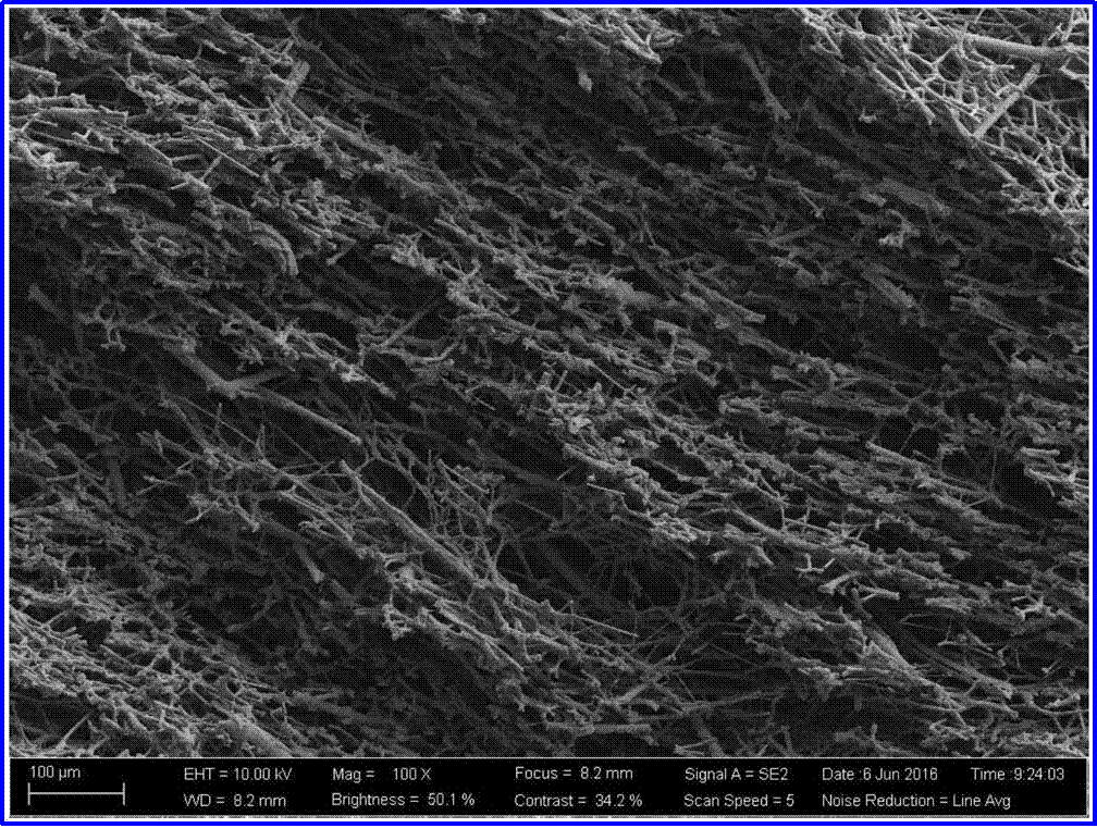 乐天堂fun88集团