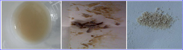 乐天堂fun88集团