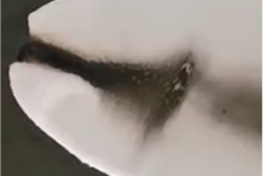 乐天堂fun88集团