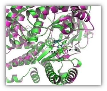 乐天堂fun88集团
