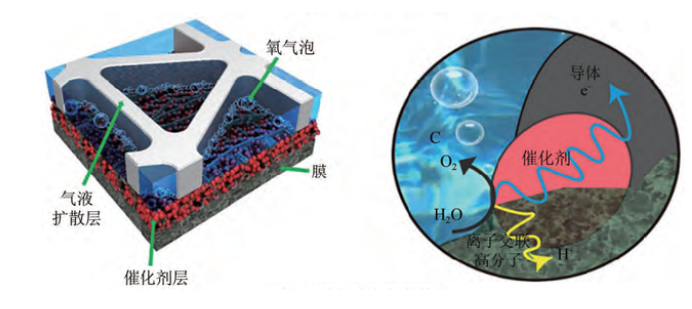 乐天堂fun88集团