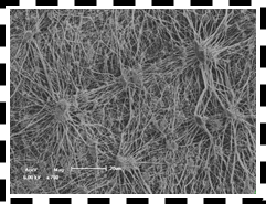 乐天堂fun88集团