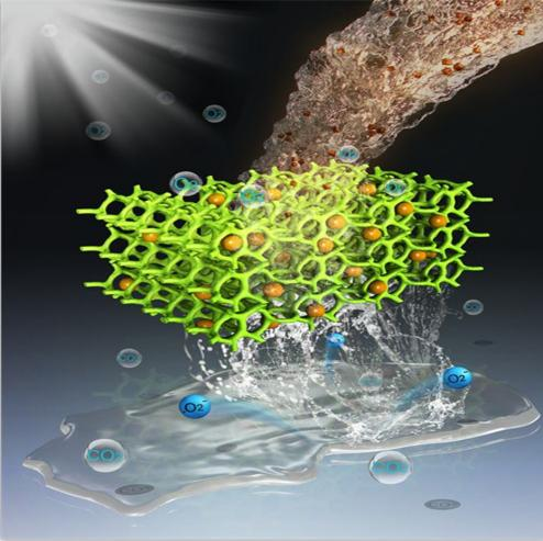 乐天堂fun88集团