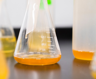 乐天堂fun88集团