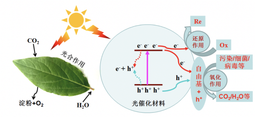 乐天堂fun88集团