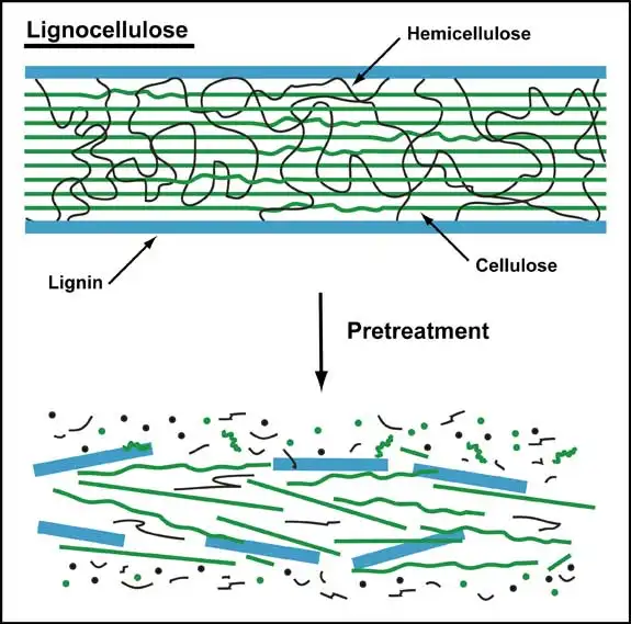 乐天堂fun88集团