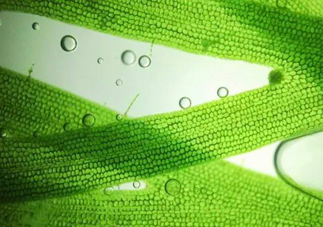 乐天堂fun88集团