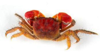 乐天堂fun88集团