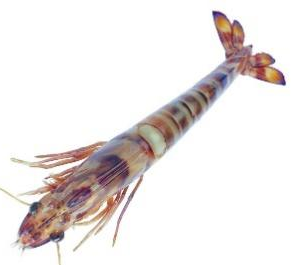 乐天堂fun88集团