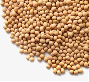 乐天堂fun88集团