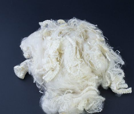 乐天堂fun88集团