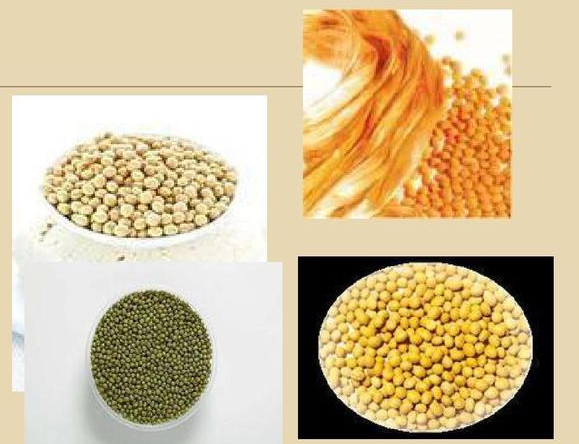 乐天堂fun88集团