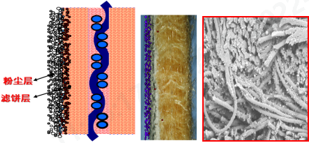 乐天堂fun88集团