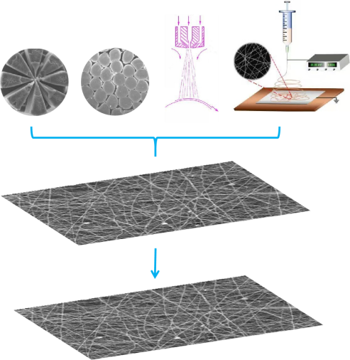 乐天堂fun88集团
