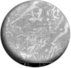 乐天堂fun88集团