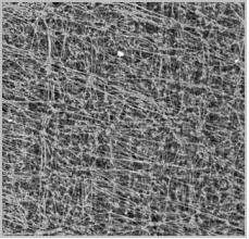 乐天堂fun88集团