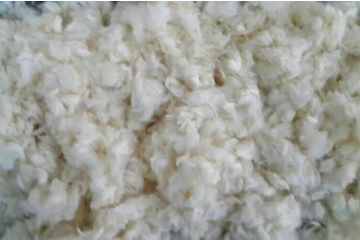 乐天堂fun88集团